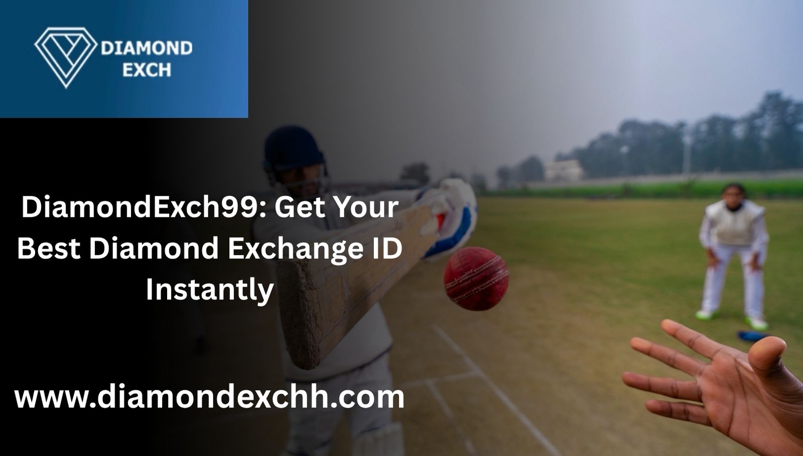Read more about the article DiamondExch99: Get Your Best Diamond Exchange ID Instantly